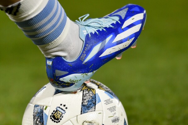 Busy 2024 looms for Lionel Messi and Inter Miami and club is